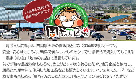 アムスめろんアイスクリーム 16個  周桑産メロン使用　スイーツ フルーツ 果物 アムスメロン アイス 周ちゃん広場 JA周桑
