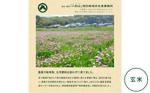 【新米】奈良・橿原　農薬や化学肥料不使用【令和7年産】ヒノヒカリ【玄米】約5kg（5kg×1袋）※2025年10月下旬～11月上旬頃に順次発送予定
