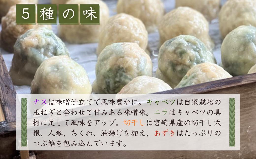 【信州名物】薄皮 おやき 10個入り 5種類