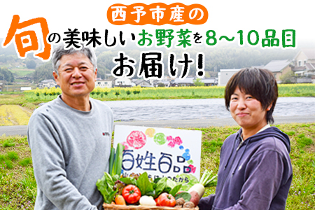 新鮮野菜の詰め合わせ