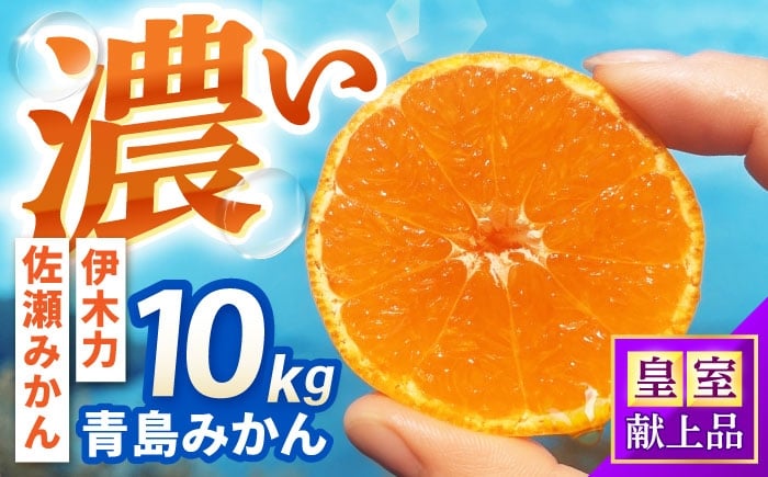 
            青島みかん 10kg / みかん ミカン 佐瀬みかん 伊木力みかん 濃い 温州みかん 薄皮 10kg / 諫早市 / 伊佐農園[AHFI014]
          