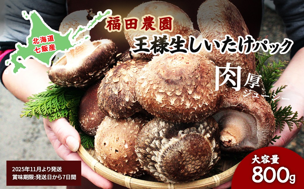 
            【2025年11月より発送】王様生しいたけパック 大容量800g 福田農園 【 ふるさと納税 人気 おすすめ ランキング しいたけ 王様 王様しいたけ シイタケ 椎茸 北海道 七飯町 送料無料 】 NAT004
          