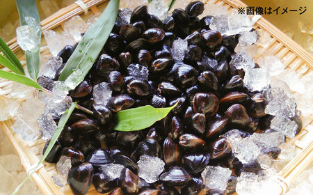 大粒！宍道湖産冷凍シジミLサイズ2kg/株式会社山光食品[ALHZ002]