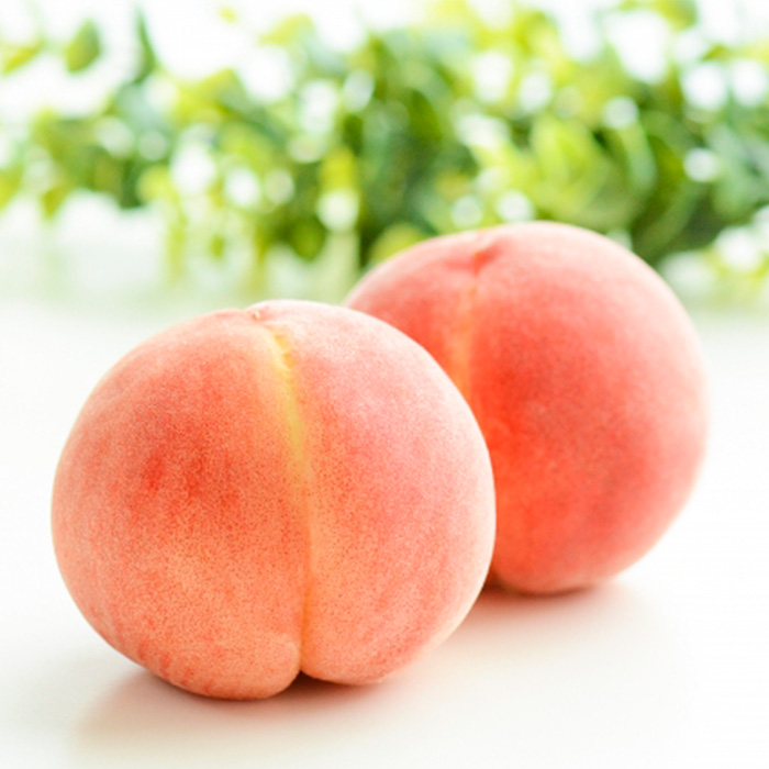 【定期便5回】おいしい！ジューシー！山形フルーツ　バラエティ定期便  FY25-821