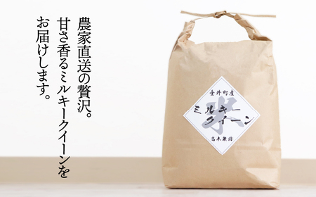 《令和7年産》《新米》岐阜県産 ミルキークイーン 10kg（5kg×2） | 垂井町産 お米 米 こめ コメ 白米 精米 ご飯 ライス 産地直送 ギフト 贈答用 プレゼント リピーター多数
