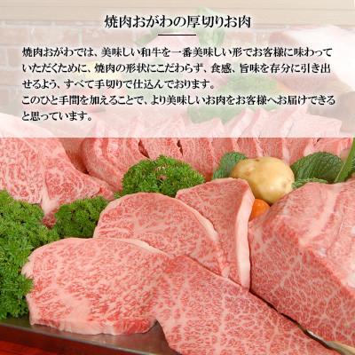 ふるさと納税 雲仙市 【毎月定期便】焼肉おがわ 長崎和牛焼肉 4種(上バラ・上モモ・上ロース・上カルビ)(雲仙市)全6回 |  | 02