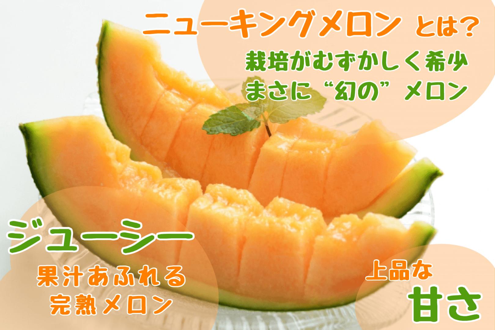 【先行予約】【定期便2回】赤肉メロン2玉＋スイートコーン約5kg(13本) 旬のフルーツ・野菜定期便<7月下旬・8月上旬お届け> SBTN012