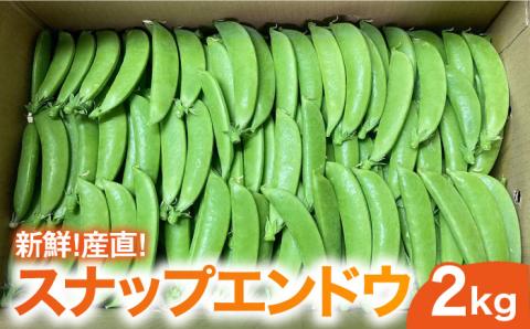 【新鮮！産直】 スナップエンドウ 2kg / すなっぷえんどう 野菜 やさい / 南島原市 /  AOTASFARM [SDM001]