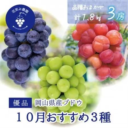 岡山　花笑み農園の『10月おすすめ3種』優品　1.8kg (3房) 3M-2L優【配送不可地域：離島】【1694442】