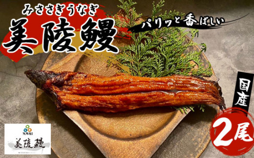 
No.211 大阪府藤井寺市産　美陵鰻 ／ うなぎ ウナギ 蒲焼 かば焼き 大阪府 特産品
