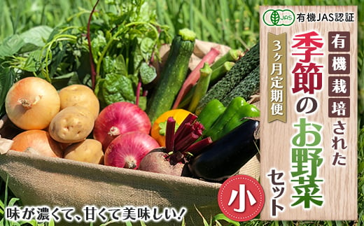 《有機JAS認証》オーガニック 季節のお野菜セット（小）定期便 3ヶ月連続 F23R-828