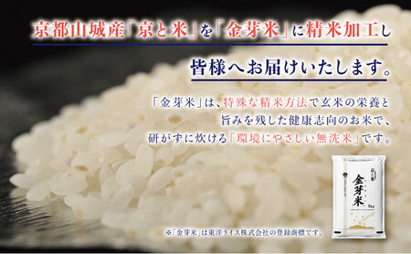 BG無洗米 京都山城産 京と米 金芽米 10kg R7年度産 ヒノヒカリ お米 米 ごはん おにぎり おいしい お弁当 健康 玄米の栄養 無洗米 節水 時短 東洋ライス 京都府 京田辺市 ヒノヒカリ 