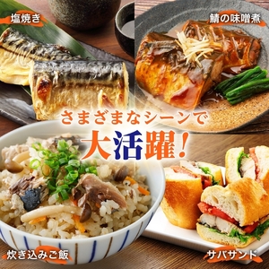 塩サバフィレ 1枚 約 150g 枚数 5枚 さば 塩サバ フィレ フィーレ さばフィレ 忙しい朝 大活躍 焼くだけ 美味しい 新鮮 絶妙 塩加減 脂の旨味 海鮮 魚介 魚 焼き魚 切身 冷凍 お弁当