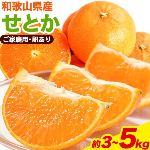 【先行予約】【家庭用 訳あり】とろける食感!ジューシー柑橘 せとか 約3kg 約5kg 株式会社魚鶴 《2026年2月上旬-3月中旬頃出荷》 和歌山県 日高川町 みかん 柑橘 果物 フルーツ 送料無料
