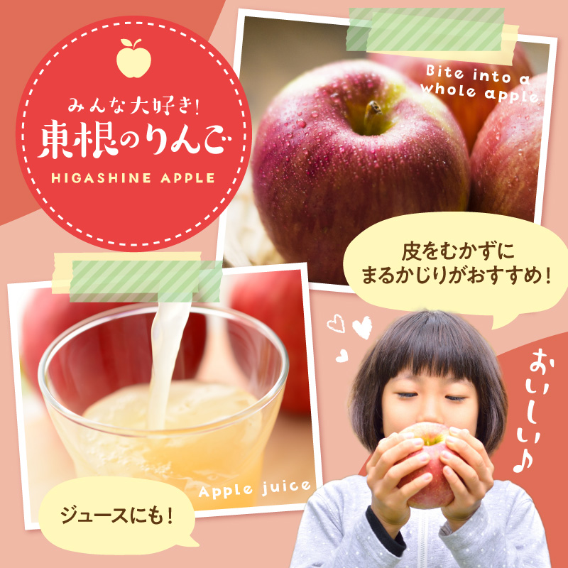 【2026年産】りんご サンふじ 3kg 秀品 化粧箱入り 山形県 東根市 東根農産センター提供 hi027-205-r8