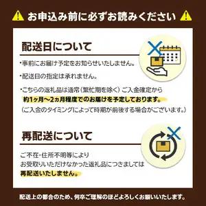博多和牛 手ごねハンバーグ 約150g×10個 072-150