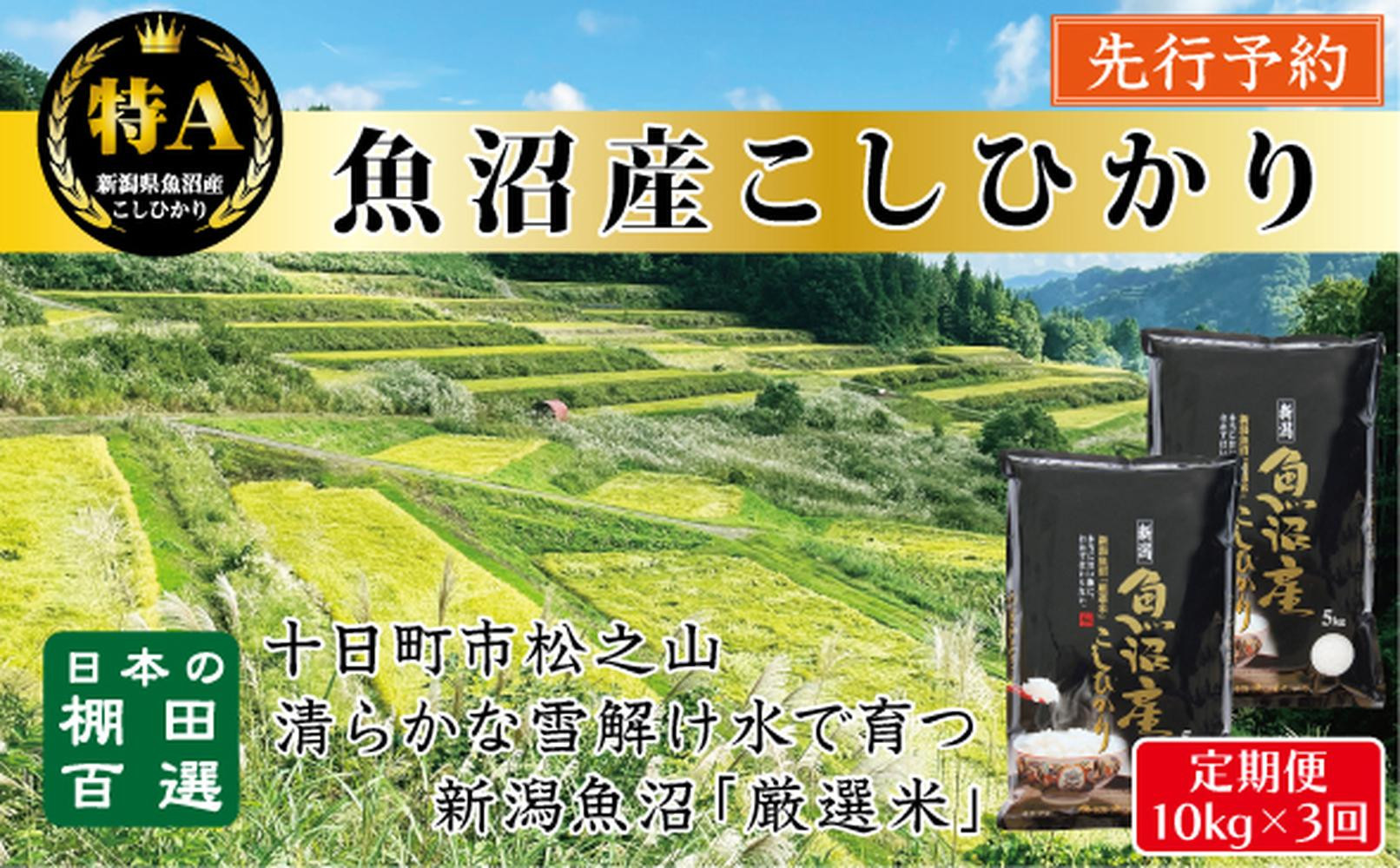【令和8年産新米予約】【3か月定期便】10月発送開始《食味鑑定士厳選》日本棚田百選・十日町（魚沼）産こしひかり 10kg全3回