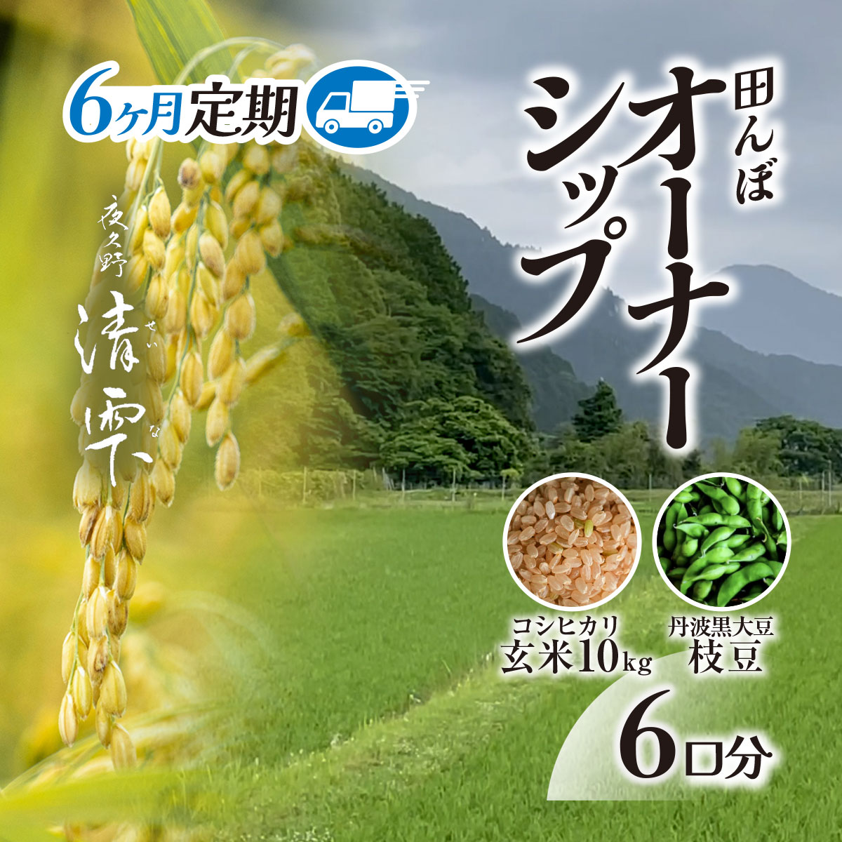 【ふるさと納税】＜令和7年9月末より発送！＞【6ヶ月定期】田んぼオーナーシップ6口分　清雫　玄米10kg+黒ムラサキ（丹波黒大豆の枝豆）/ ふるさと納税 田んぼ オーナー制度 米 玄米 令和7年度産 先行 定期 10kg 6回 収穫 夜久野 京都 京都府 福知山 FCDB007