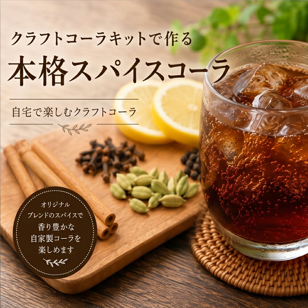 【ふるさと納税】クラフトコーラキット 2袋セット カレー食堂コモやん 山口県 防府市 O-H41 クラフトコーラ コーラ シロップ スパイス 手作り ドリンク 清涼飲料水 割り材 おうちカフェ 簡単