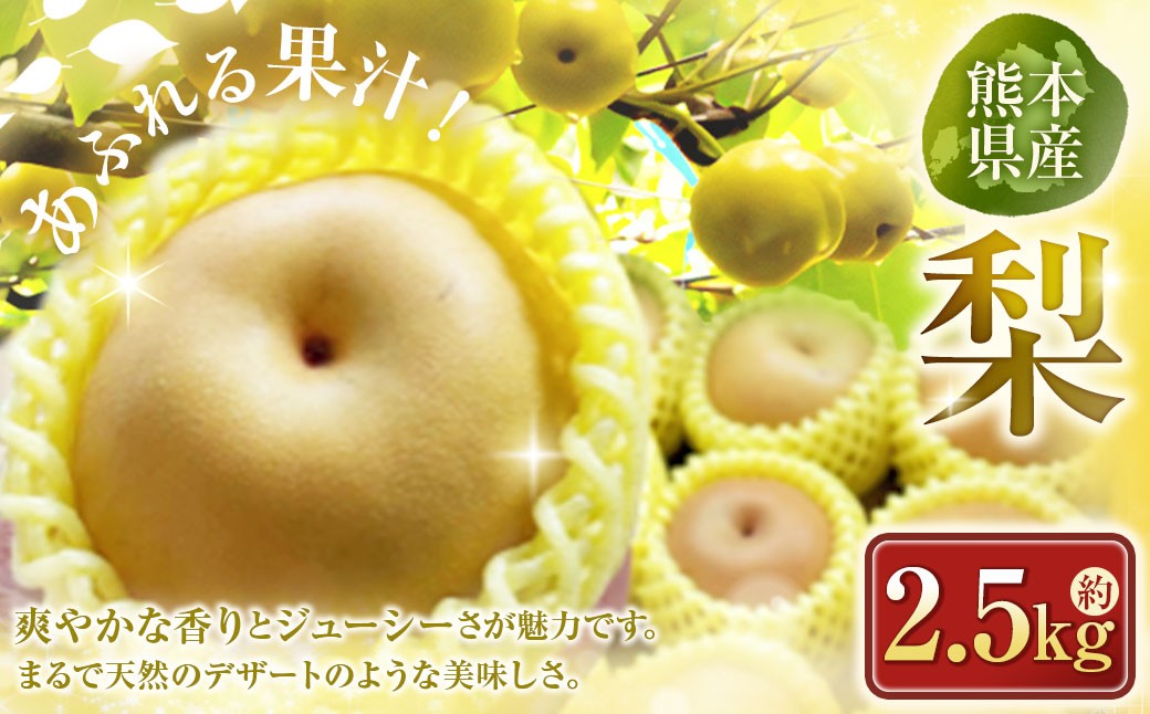 
                  梨 約2.5kg ナシ なし 果物 くだもの フルーツ 果実 果汁 果肉 旬の味覚 旬の果物 贈り物 プレゼント ギフト 国産 熊本県産 【 2026年7月上旬から10月下旬発送予定 】
                