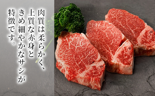 信州高原和牛 ヒレステーキ(100g×3枚)　黒毛和和牛　ステーキ　希少部位