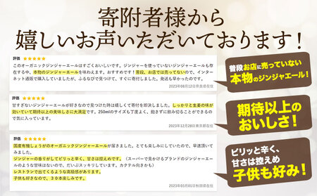 ジンジャーエール 30缶 光食品 