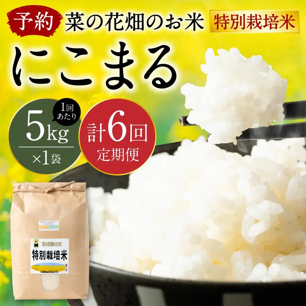 【先行予約】 【定期便6回】 《令和8年産》 菜の花畑のお米 「特別栽培米」合計30kg （5kg×6回） にこまる 米 精米 【2026年12月上旬より順次発送】