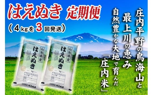 【3回定期便】令和7年産 ［精米］ はえぬき　4kg×3回(計12kg) SI SE0571