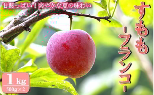 先行予約 すもも（フランコ）1kg ※6月中旬～7月中旬頃に順次発送予定【期間限定・2025/6/20まで】 / スモモ お取り寄せ 期間限定 夏 フルーツ 果物 サンタローザ 和歌山県 田辺市