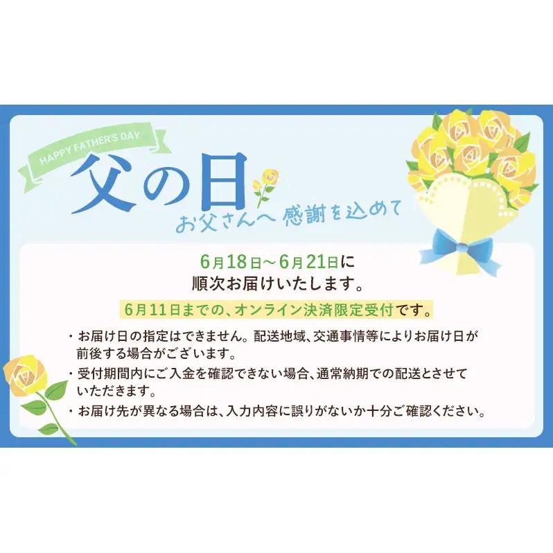 父の日ギフト 浜名湖産うなぎ 蒲焼 2尾 (100g以上×2本)山椒たれ付き 国産 うなぎセット 国産うなぎ 浜名湖うなぎ 海老仙 静岡 浜松市