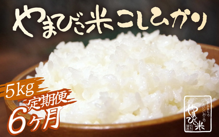 【先行予約】【令和8年産・新米】定期便 ≪6ヶ月連続お届け≫ 米 コシヒカリ 新庄やまびこ米（白米）5kg × 6回 計30kg【2026年10月以降順次発送予定】 [m23-h002]