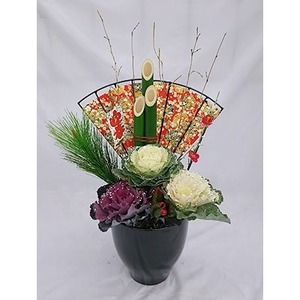 【先行予約】 花 門松 花苗 寄せ植え 竹 葉牡丹 正月飾り 正月 飾り 迎春 お花 玄関 贈答 プレゼント ギフト 植物 お祝い 2025年12月中旬より発送開始 オンライン決済限定
