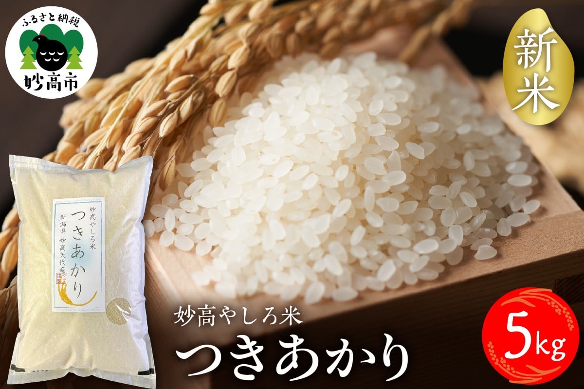 
            令和7年産 新潟県 妙高やしろ米 つきあかり 5kg【10月中旬より発送】 お米 米 コメ 精米 新潟 妙高市 米どころ こめ ご飯 ごはん ライス 弁当 おにぎり
          