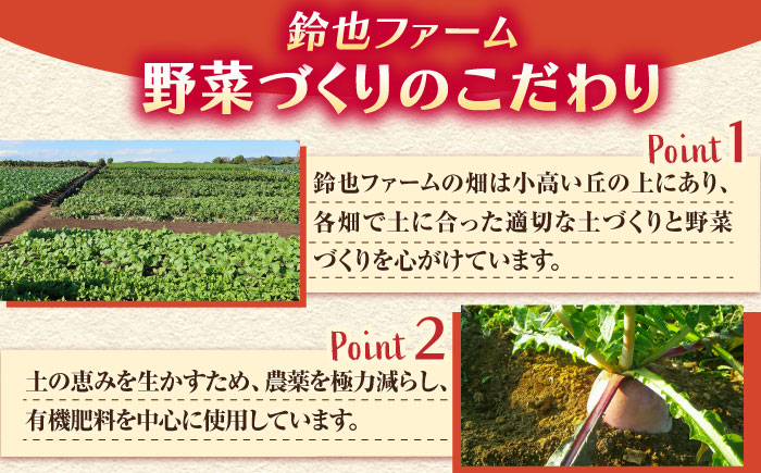 【先行予約】レインボー　大根　約2kg（10月～2月）【鈴也ファーム】 [AKCE015]