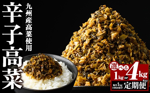 a568 《選べる内容量・配送》九州産辛子高菜(1kg・4kg・3回定期便)【九州新進】姶良市 国産 九州産 たかな 漬物 漬け物 ご飯のお供 おかず おつまみ おにぎり 常温 常温保存 定期便