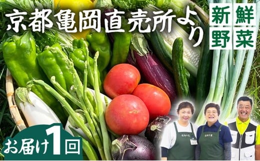 【5月発送】《価格改定》新鮮 旬の野菜セット 7～10品目 京都 佐伯の里 | 京都丹波・亀岡産 季節の野菜詰め合わせ 朝採れ 直送 訳あり 新鮮野菜セット 旬野菜セット 訳あり野菜セット お試し野菜セット 京都野菜セット 佐伯の里野菜セット 京都丹波野菜セット 野菜 家計応援 生活応援 お試し 《価格改定10000円→8000円》 ※北海道・沖縄・離島への配送不可