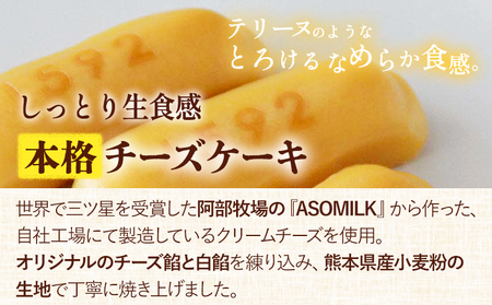 濃厚生チーズケーキ 1592 ヒゴクニ 6個入り 古今堂 《30日以内に出荷予定(土日祝除く)》 熊本県 南阿蘇村 チーズケーキ チーズ ひごくに お菓子 スイーツ
