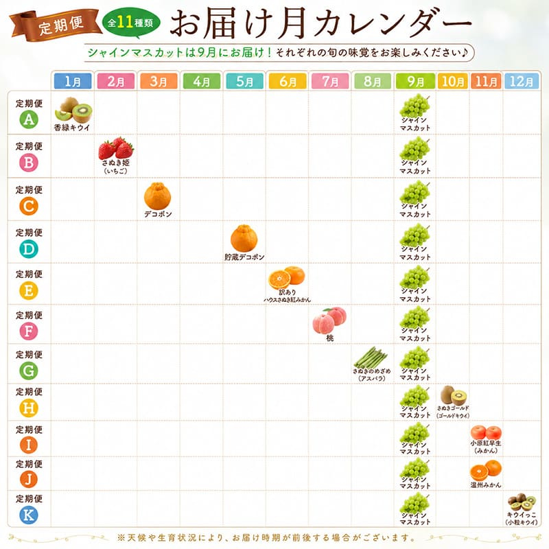 定期便 2回 シャインマスカット さぬきゴールド ゴールドキウイ キウイ キウイフルーツ ぶどう 果物 フルーツ 旬 旬のフルーツ 贈答用 ギフト プレゼント 香川県 丸亀市