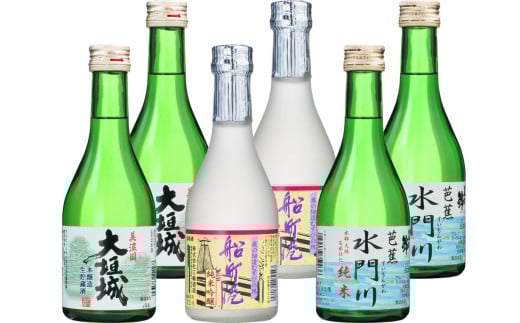 水都おおがき　地酒のみくらべ　300ml×6本セット