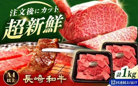 【12回定期便】訳あり長崎和牛焼肉切り落とし約1kg[ECS072] 