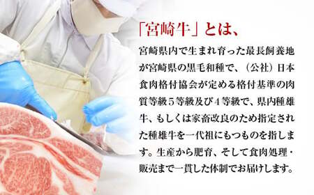 【2月発送】宮崎牛ロースステーキ2枚 計500g 牛肉 ステーキ 高級部位 ブランド牛 ミヤチク 内閣総理大臣賞4連覇＜1.8-21＞●