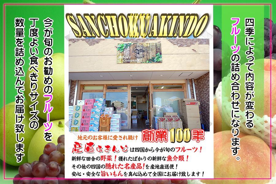 【3月発送便】 フルーツ セット Sサイズ 詰め合わせ ( 約3 ~ 5品 ) |産直あきんど 創業100年