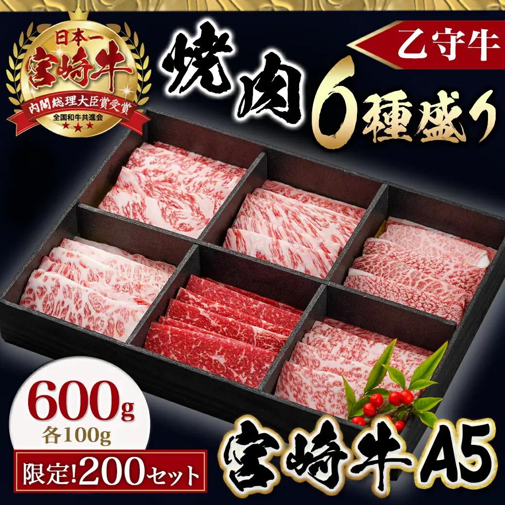 ≪限定200セット≫隔月6回お届け!【宮崎牛A5】焼肉6種盛り(乙守牛）〔T192-6-6501〕_(都城市) 都城産宮崎牛 A5 焼肉6種盛 各100g ロース/肩ロース/ウデ/バラ/モモ(赤身)/