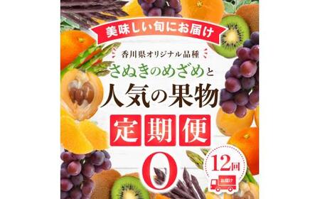 定期便 旬 オリジナル 果物 野菜 厳選 家庭用 「香川県オリジナル品種さぬきのめざめ」と人気の果物 定期便O【T006-754】