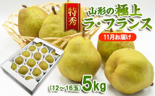 【特秀】山形の極上 ラフランス 特秀品 約5kg(12～16玉)[11月