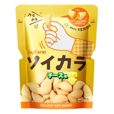 ふるさと納税 板野町 ソイカラ　チーズ味　18袋