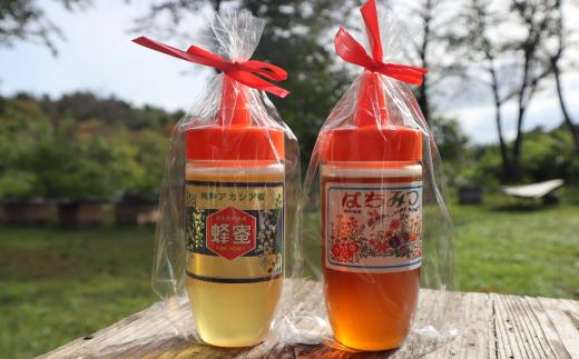 
【国産 はちみつ】岩手の純粋 蜂蜜 300g×2本セット（アカシア＆秋百花）
