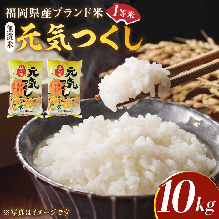 【ふるさと納税】【先行予約】【令和7年産】福岡県産ブランド米「元気つくし」無洗米 10kg (5kg×2袋)【2025年11月以降順次発送】《築上町》【株式会社ゼロプラス】 お米 白ご飯 にぎり 白ご飯 おにぎり [ABDD004] 44000円