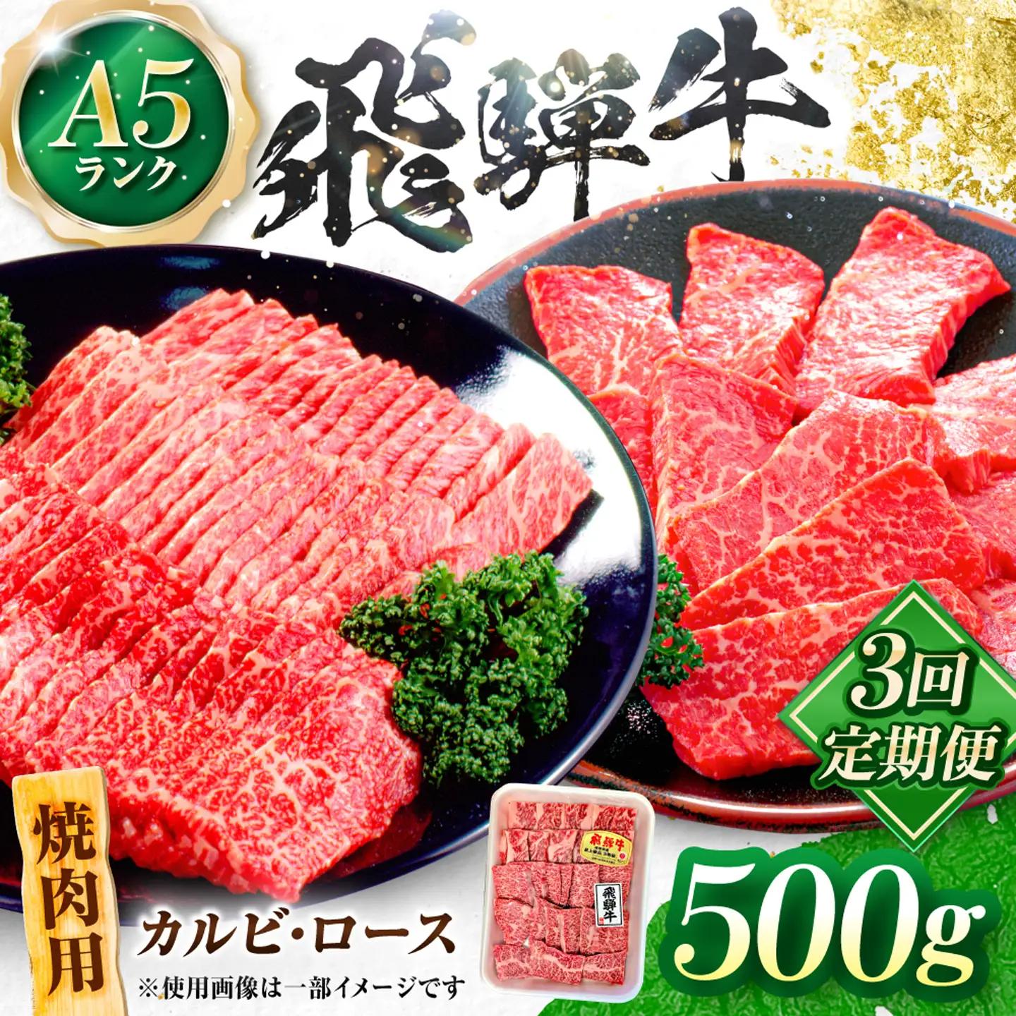 【3回定期便】飛騨牛 A5等級 焼肉用 カルビ・ロース 500g 牛肉 肉 お肉 焼き肉 BBQ 岐阜市 / 肉の松久[ANIP033]