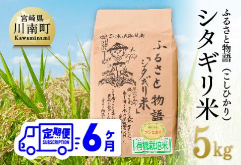 【6ヶ月定期便】※毎月20日頃発送※【令和6年産】宮崎県産こしひかり「シタギリ米」 5kg【 お米 新米 2024年産 定期便 全6回 】[D04201t6]